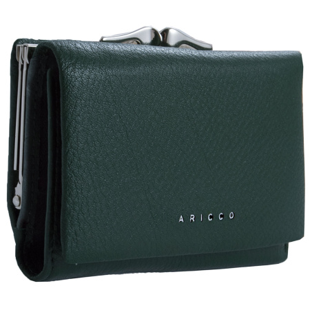 Маленький женский кошелек Alfa Ricco 20385 зеленый